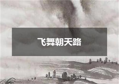 飞舞朝天路