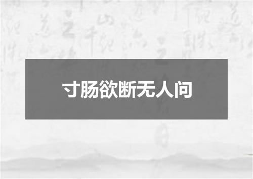 寸肠欲断无人问