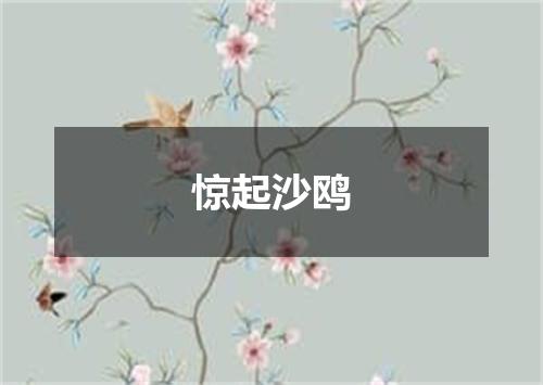 惊起沙鸥