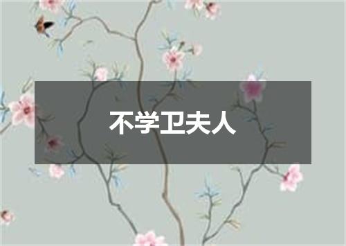 不学卫夫人