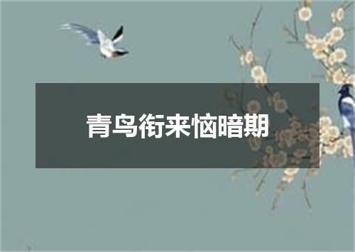 青鸟衔来恼暗期