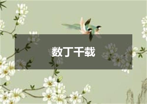 数丁千载