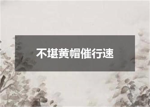 不堪黄帽催行速