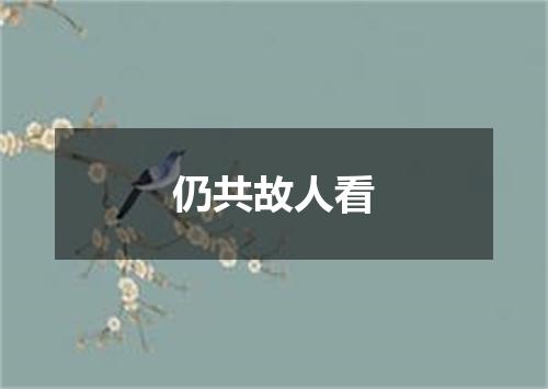 仍共故人看