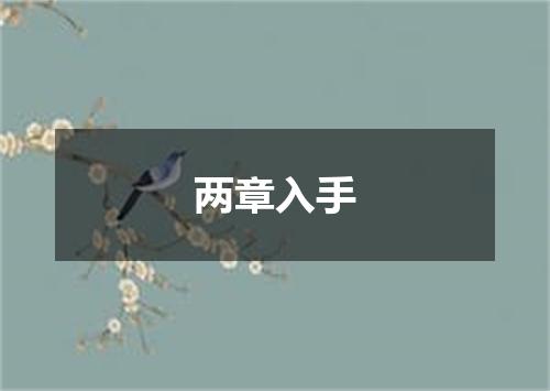 两章入手