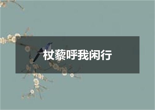 杖藜呼我闲行