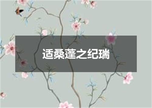 适桑蓬之纪瑞