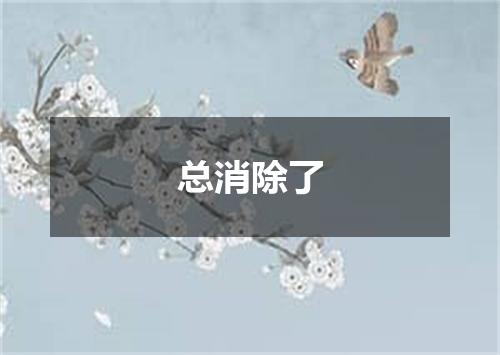 总消除了