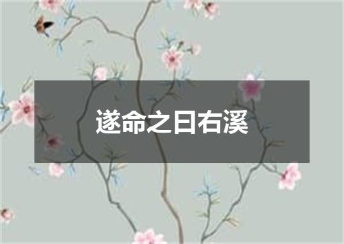 遂命之曰右溪