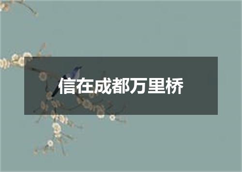 信在成都万里桥