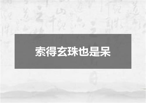 索得玄珠也是呆