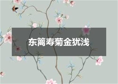 东篱寿菊金犹浅