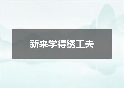 新来学得绣工夫