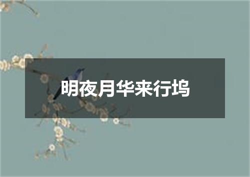 明夜月华来行坞