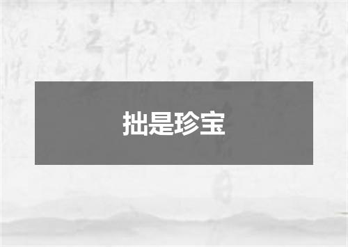 拙是珍宝