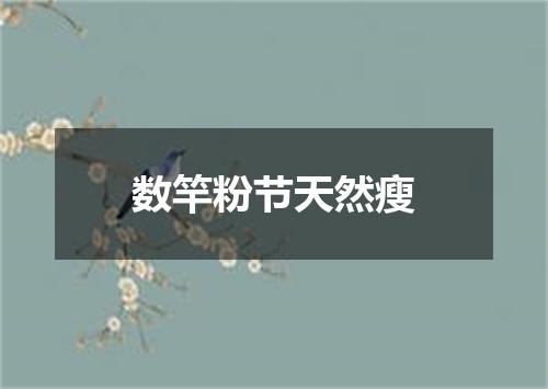 数竿粉节天然瘦