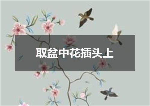 取盆中花插头上