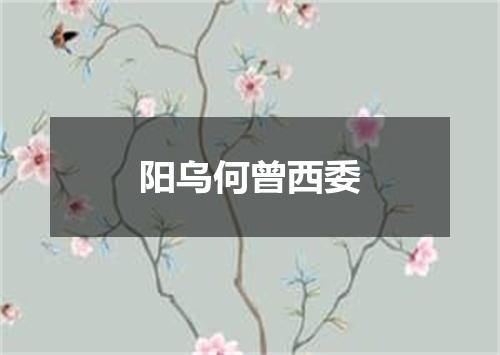 阳乌何曾西委