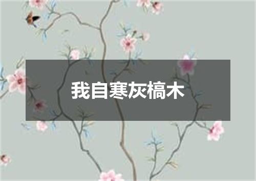 我自寒灰槁木