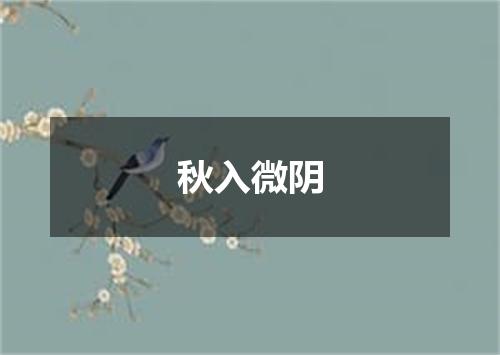 秋入微阴