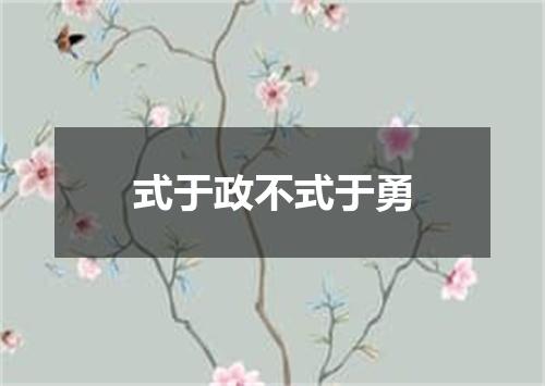 式于政不式于勇