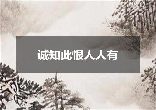 诚知此恨人人有