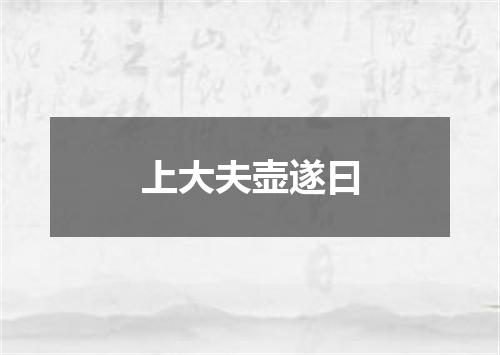 上大夫壶遂曰