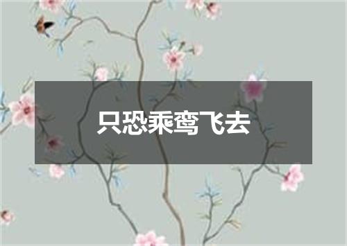 只恐乘鸾飞去