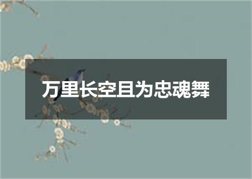 万里长空且为忠魂舞