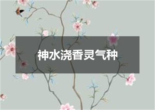 神水浇香灵气种