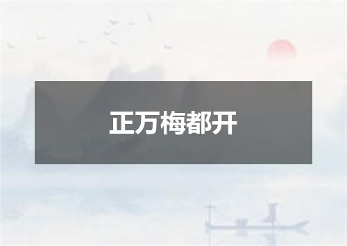 正万梅都开
