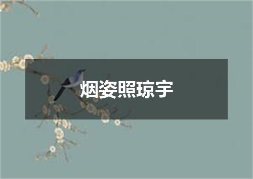 烟姿照琼宇