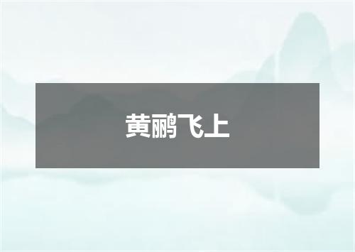 黄鹂飞上