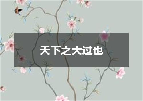 天下之大过也