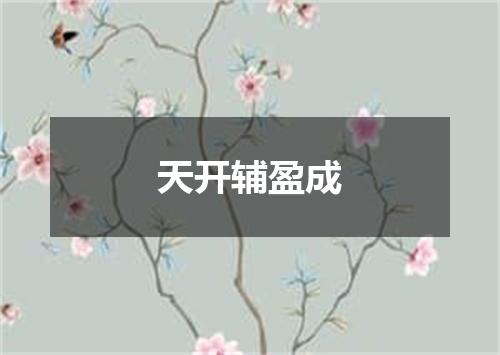 天开辅盈成