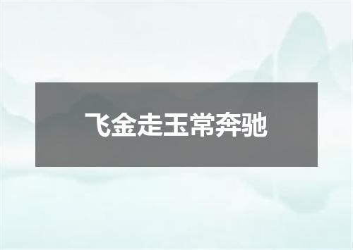 飞金走玉常奔驰
