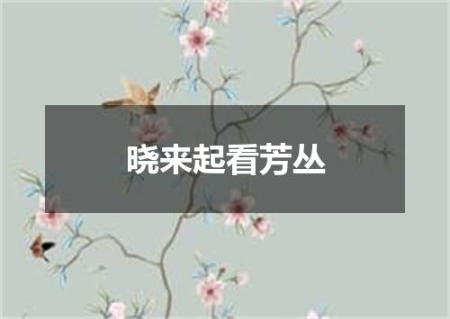 晓来起看芳丛