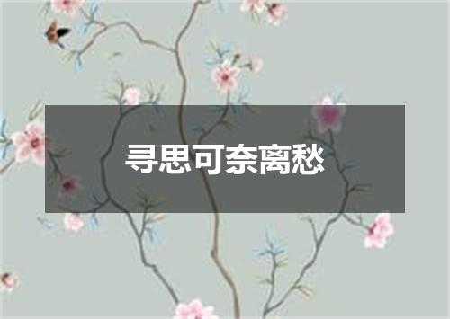 寻思可奈离愁