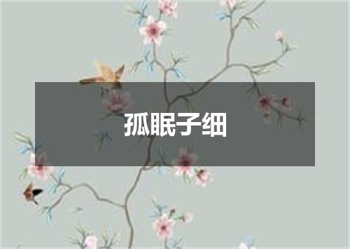 孤眠子细