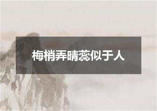 梅梢弄晴蕊似于人