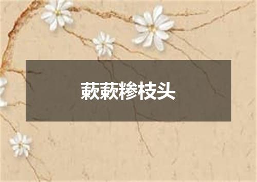 蔌蔌糁枝头
