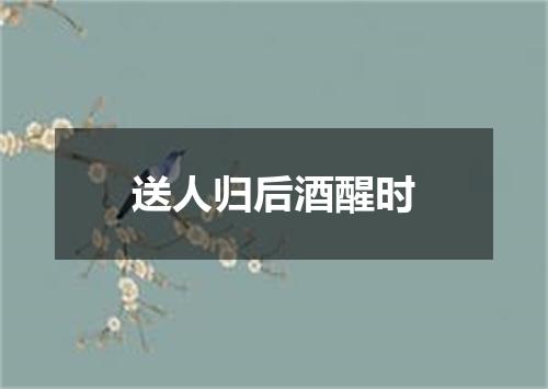 送人归后酒醒时