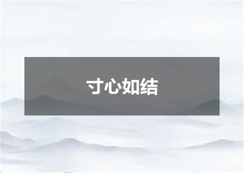 寸心如结