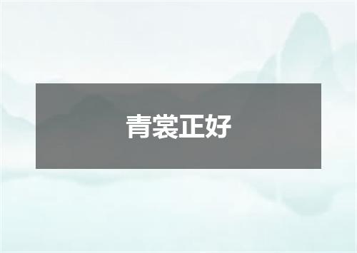 青裳正好