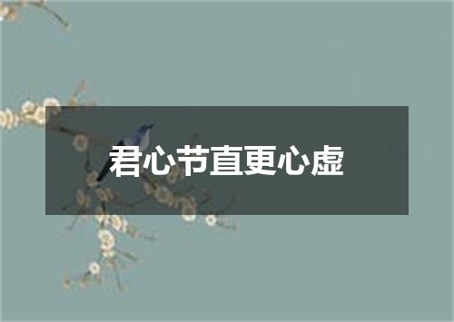 君心节直更心虚