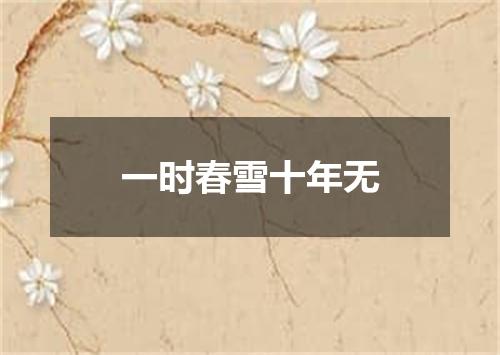 一时春雪十年无