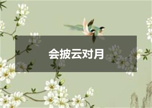会披云对月