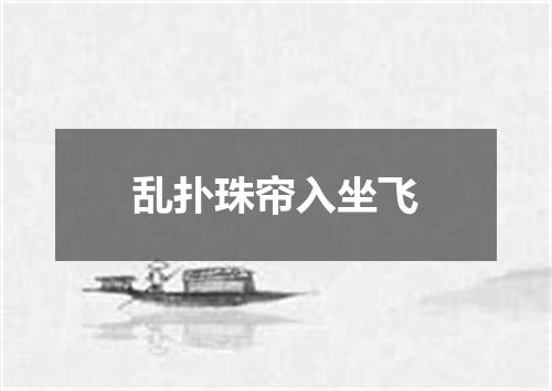 乱扑珠帘入坐飞