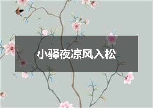 小驿夜凉风入松