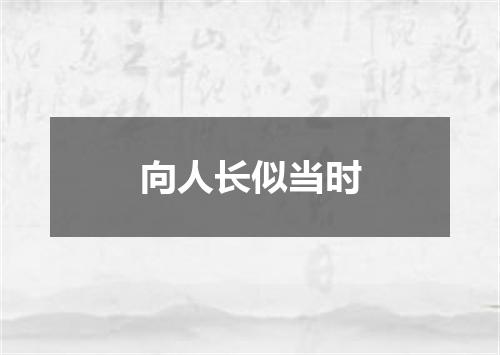 向人长似当时